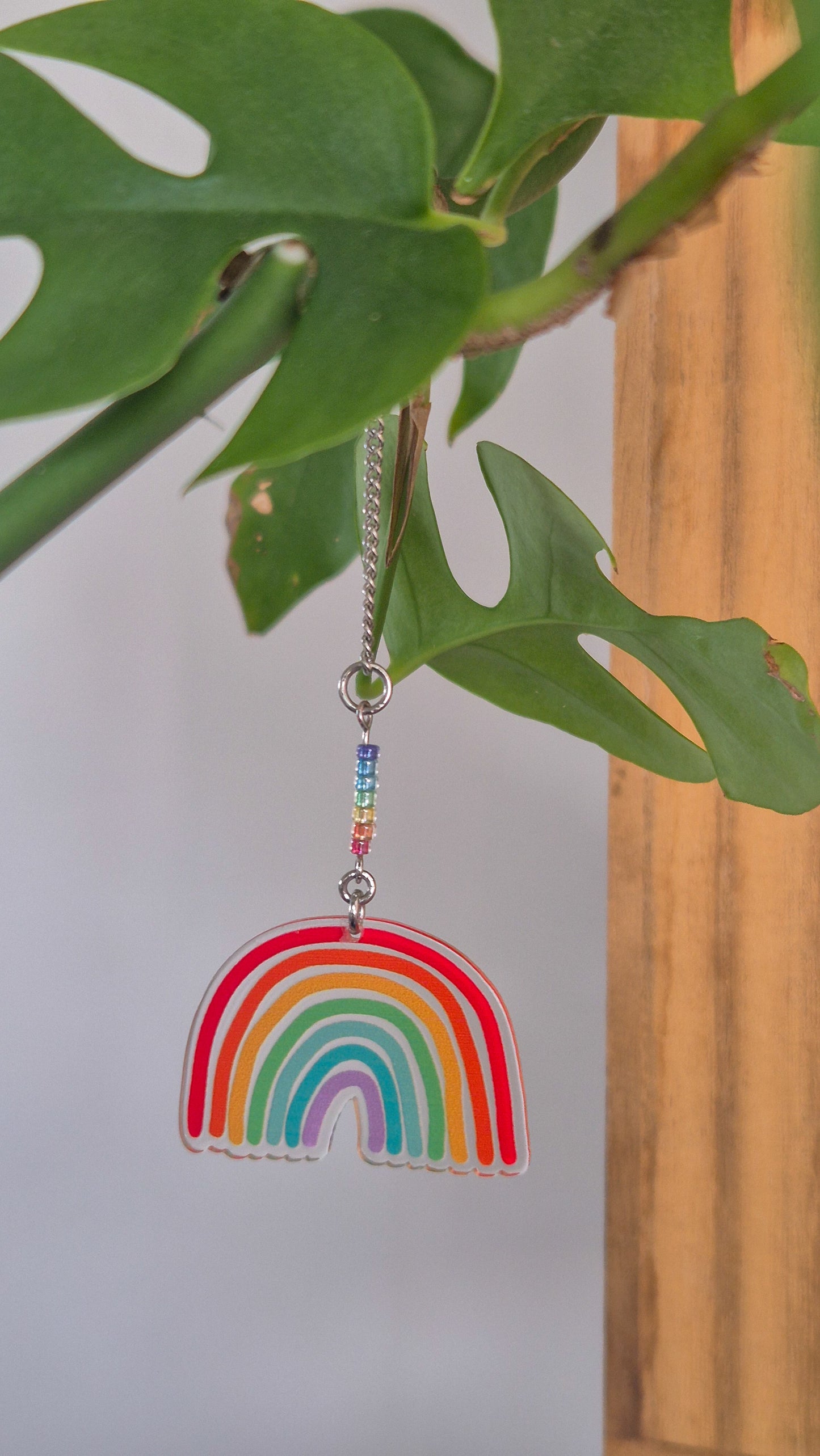 Décoration de plante verte – Arc en ciel