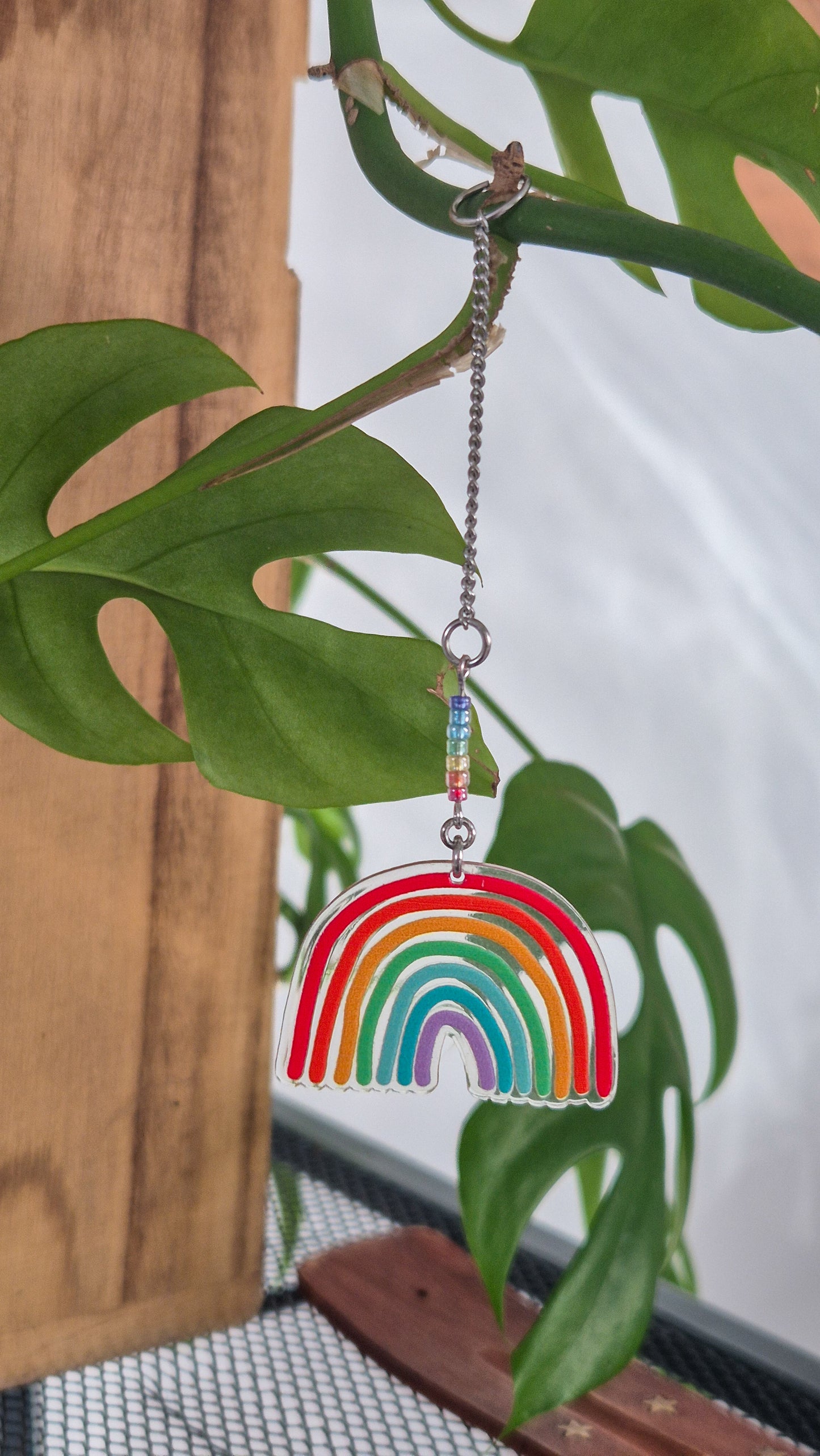 Décoration de plante verte – Arc en ciel