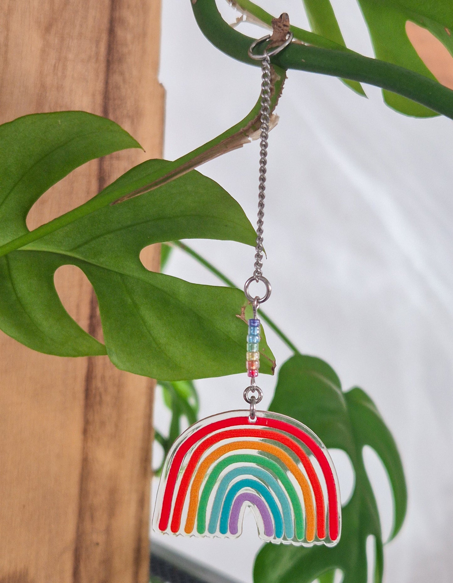 Décoration de plante verte – Arc en ciel