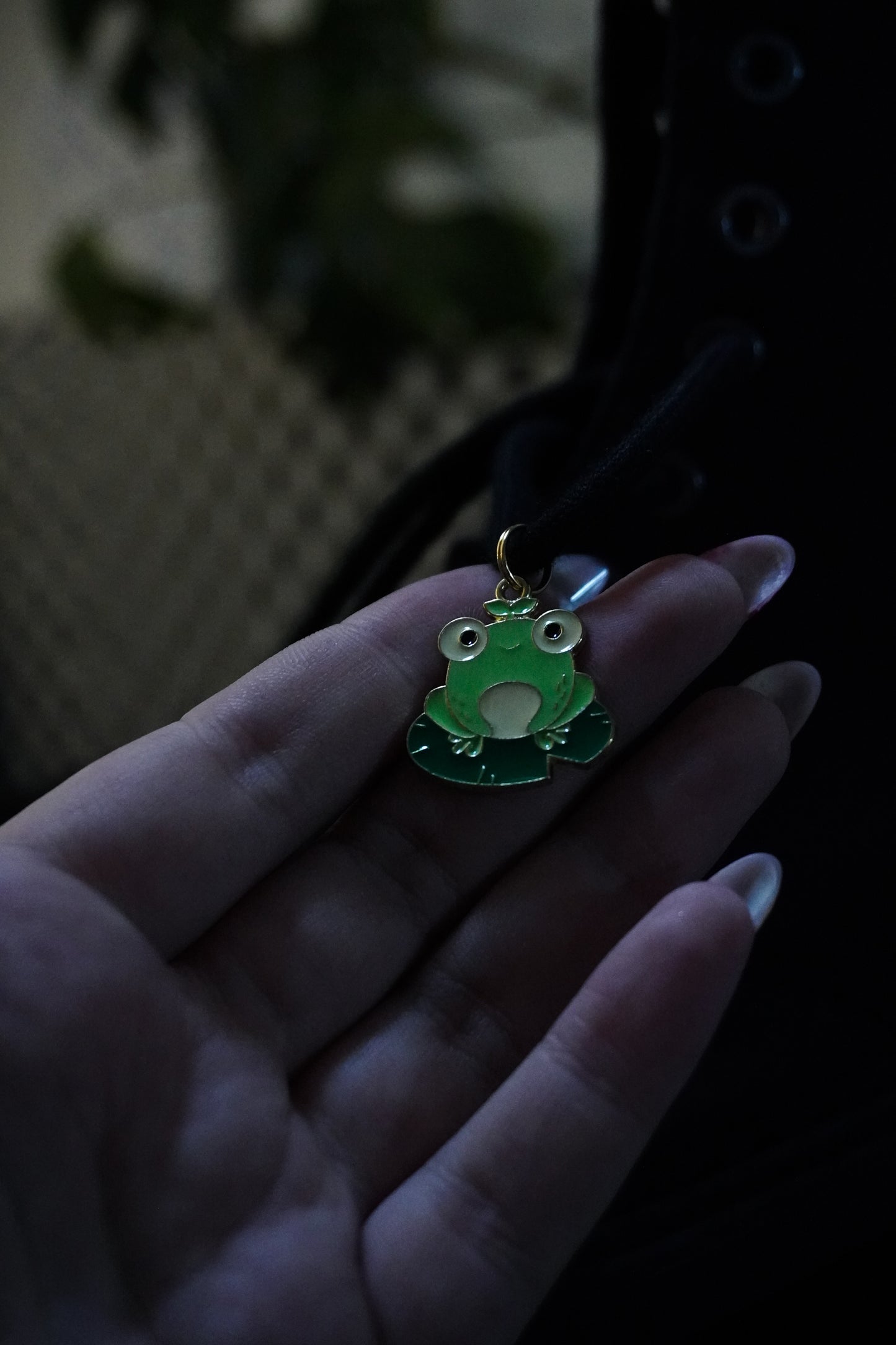Bijou pour lacet - Grenouille