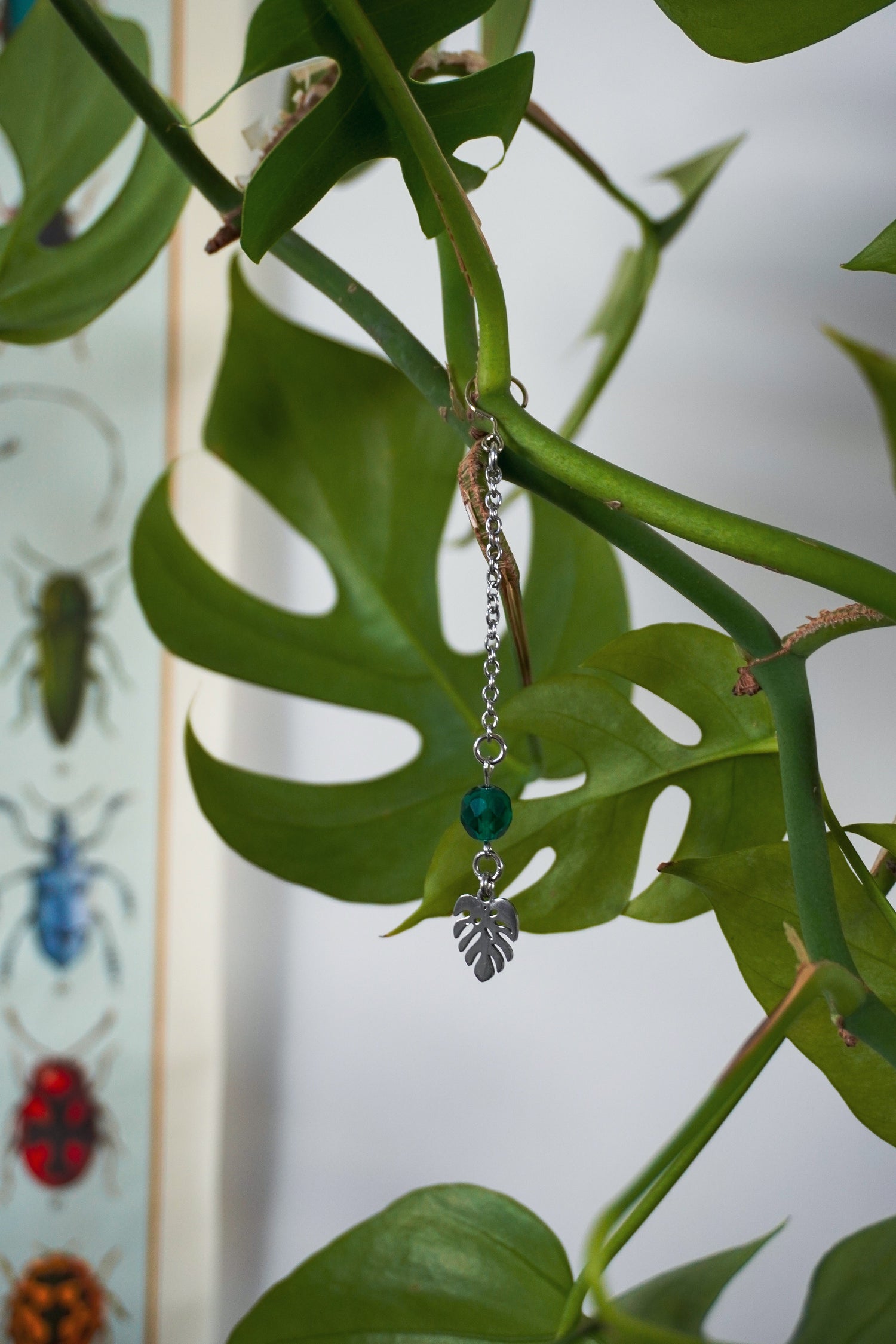 Bijoux pour plantes